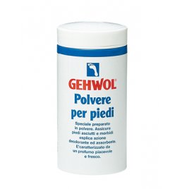 GEHWOL POLV PIEDI 100G