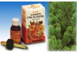 PINO SILVESTRE OE PURO 10ML