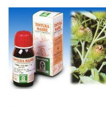 BARDANA (ARCTIUM LAP.)TM 50M.S