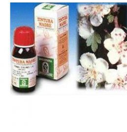 BIANCOSPINO *T.M. 50ML (10)SPE