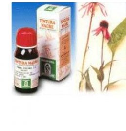 ECHINACEA 50ML TM SPECCHIASOL