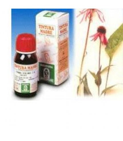 ECHINACEA 50ML TM SPECCHIASOL