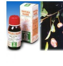 QUERCIA MARI 50ML TM SPECCHIAS