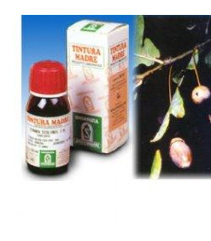 QUERCIA MARI 50ML TM SPECCHIAS