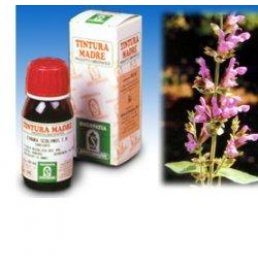 SALVIA 25 50ML TM