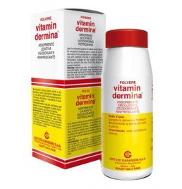 VITAMINDERMINA POLVERE 100 G