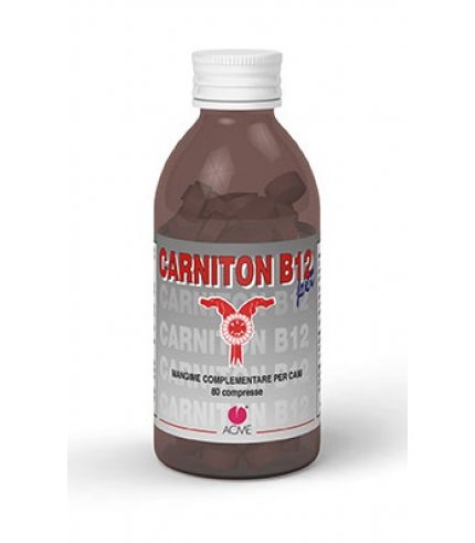 CARNITON B12 PET*80 CPR 1 G