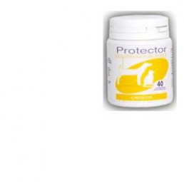 PROTECTOR CRESCITA 40CPR