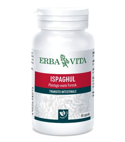 ISPAGUL 60CPS 500MG