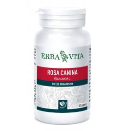 ROSA CANINA 60CPS 400MG ERBAV