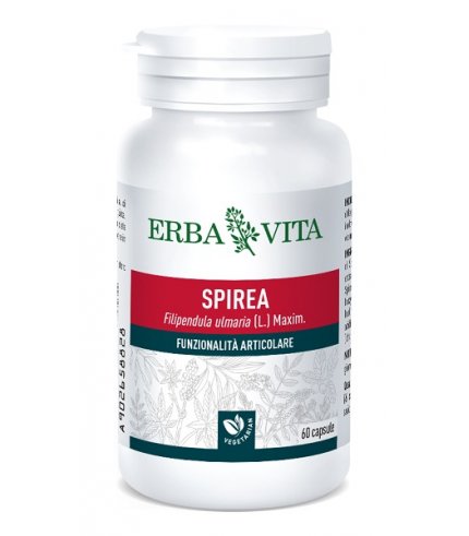 SPIREA ULMARIA 60CPS 400MG