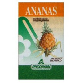 ANANAS ERBE 80CPS