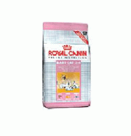 FELINE HN MOTHER&BABYCAT34 400