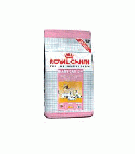 FELINE HN MOTHER&BABYCAT34 400