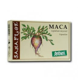 MACA 60CPS 26G STV