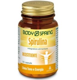 BODY SPRING SPIRULINA 50CPS