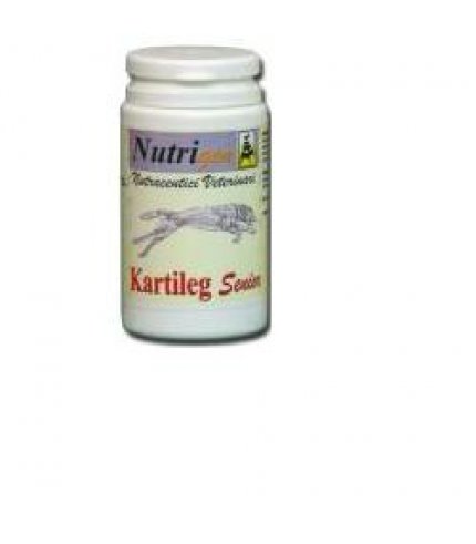 KARTILEG SENIOR 60TAV