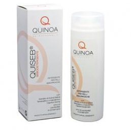 QUISEB SEBODET FLUIDO 200ML