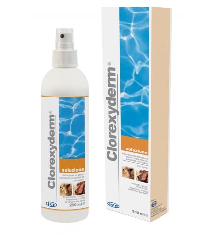 CLOREXYDERM*SOLUZIONE 250ML