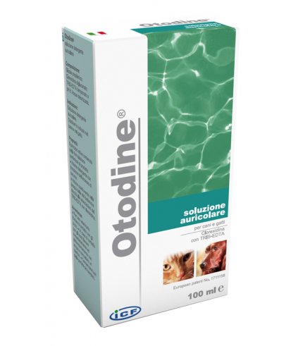 OTODINE DET LIQ 100ML