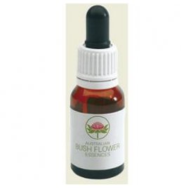 KAPOK BUSH AUSTRALIAN 15ML GTT