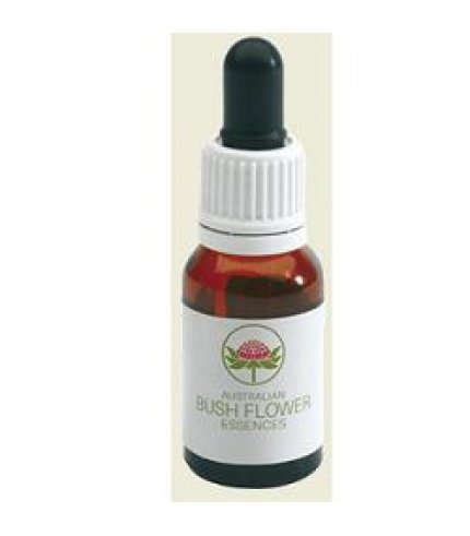 KAPOK BUSH AUSTRALIAN 15ML GTT