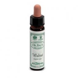 AINSWORTHS WALNUT 10ML