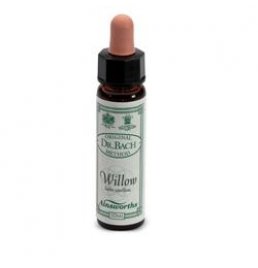 AINSWORTHS WILLOW 10ML