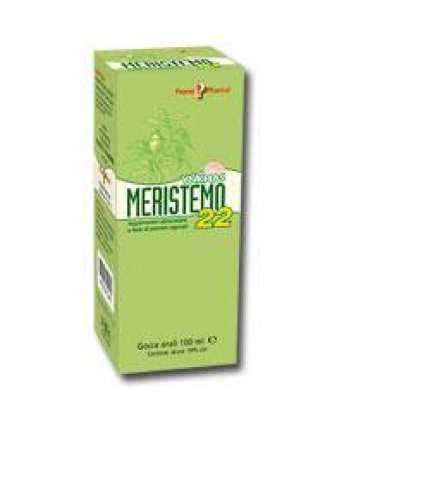 MERISTEMO 22 NEFRO 100ML