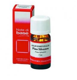 PINO SILV OLIO ESS 10ML