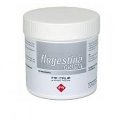 FLOGESTINA GRIGIA PASTA 1KG