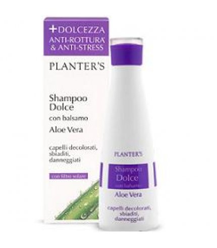 PLANTERS SH DOLCE ALOE VERA