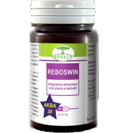 REBOSWIN 60CPS RE.NA.CO.