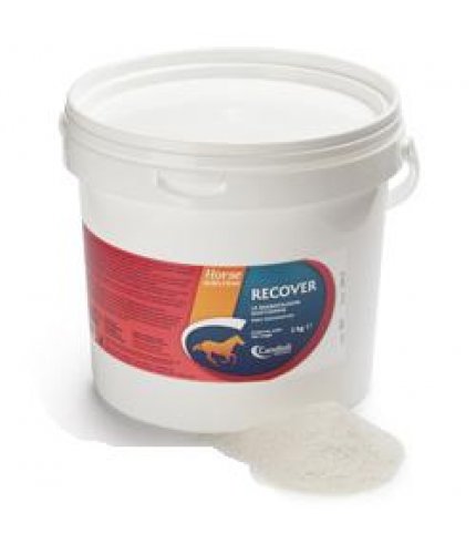 RECOVER REIDRATANTE CAV 3KG