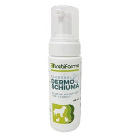 CLOREXAL DERMOSCHIUMA 150ML