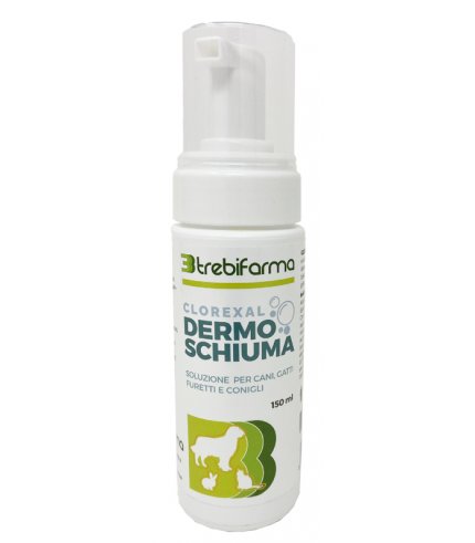 CLOREXAL DERMOSCHIUMA 150ML