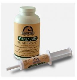 WIND AID SCIROPPO 947ML