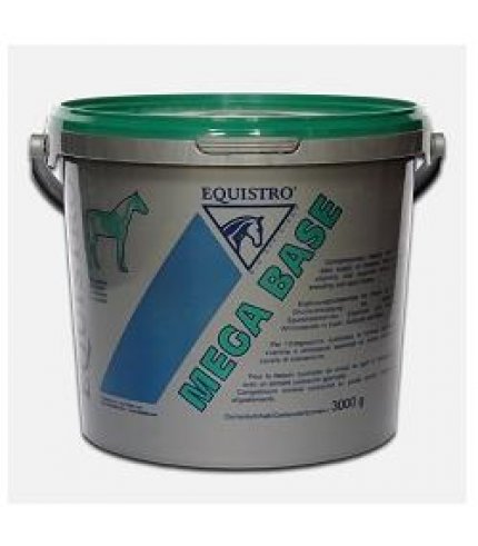 MEGA BASE EQUISTRO 3KG