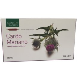 CARDO MARIANO 20AB 15ML