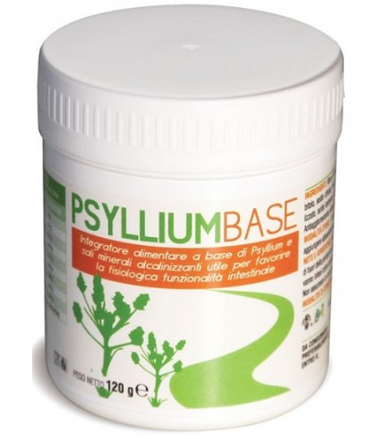 PSYLLIUM BASE POLVERE 120G AVD