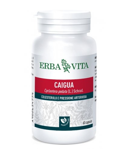 CAIGUA 60CPS 400MG  ERBAVITA