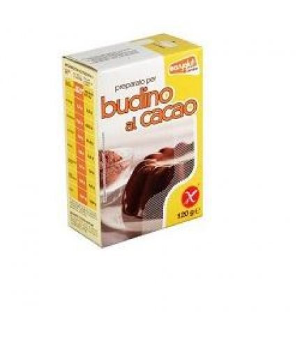 EASYGLUT PREPA BUDINO CACAO120