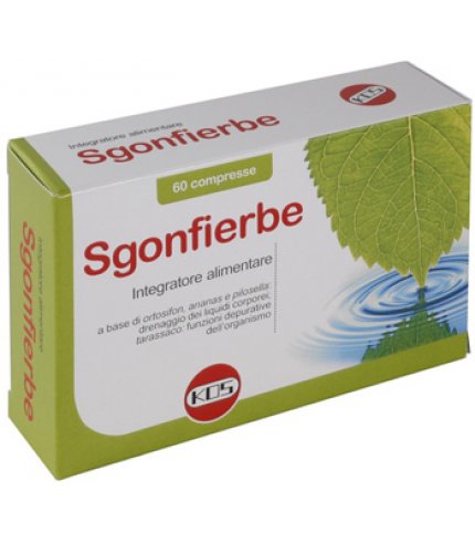 SGONFIERBE 60CPR