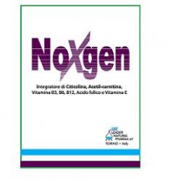 NOXGEN 15 BUSTINE