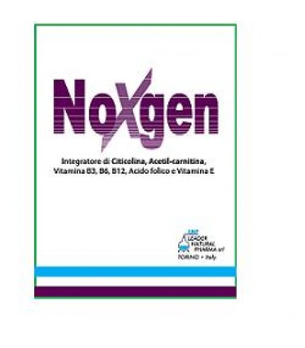 NOXGEN 15 BUSTINE