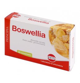 BOSWELLIA ESTR SEC 60CPR 24G K