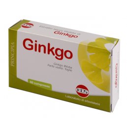 GINKGO BILOBA ESTR SEC 60CPR