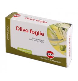 OLIVO FOGLIE ESTR SEC 60CPR