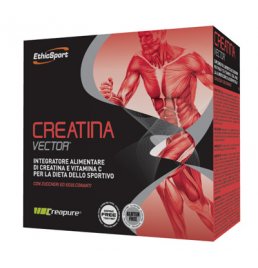 CREATINA VECTOR 20BUST 8G