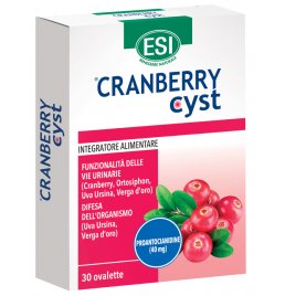 CRANBERRY CYST 30 OVALETTE